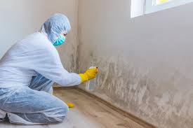 Best Mold Removal for HVAC Installations in Washington, IL