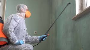 Best Mold Damage Restoration in Washington, IL